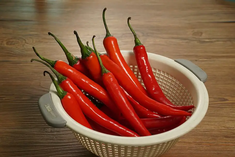 Can you dry peppers in an air fryer?