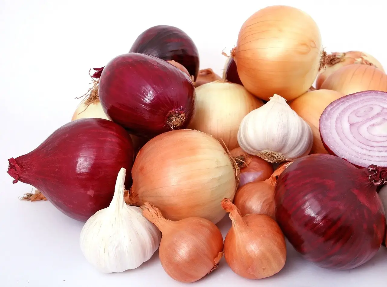 Can you cook onion and garlic together?