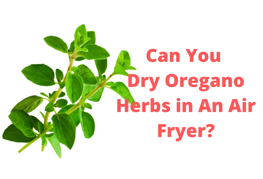 Can You Dry Oregano Herbs in An Air Fryer?
