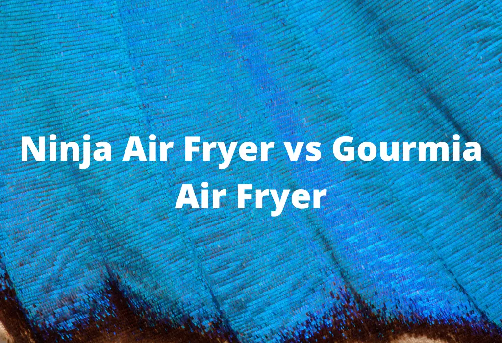 Ninja Air Fryer vs Gourmia Air Fryer